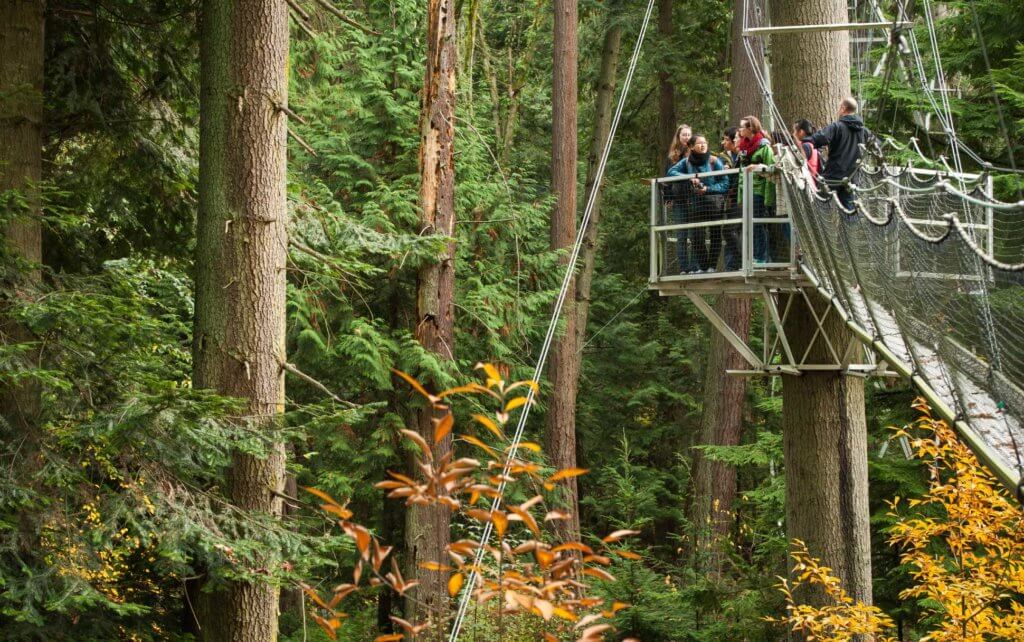 Tourists to Vancouver look at the forest canopy on one of UBC's Greenheart TreeWalk's platforms  