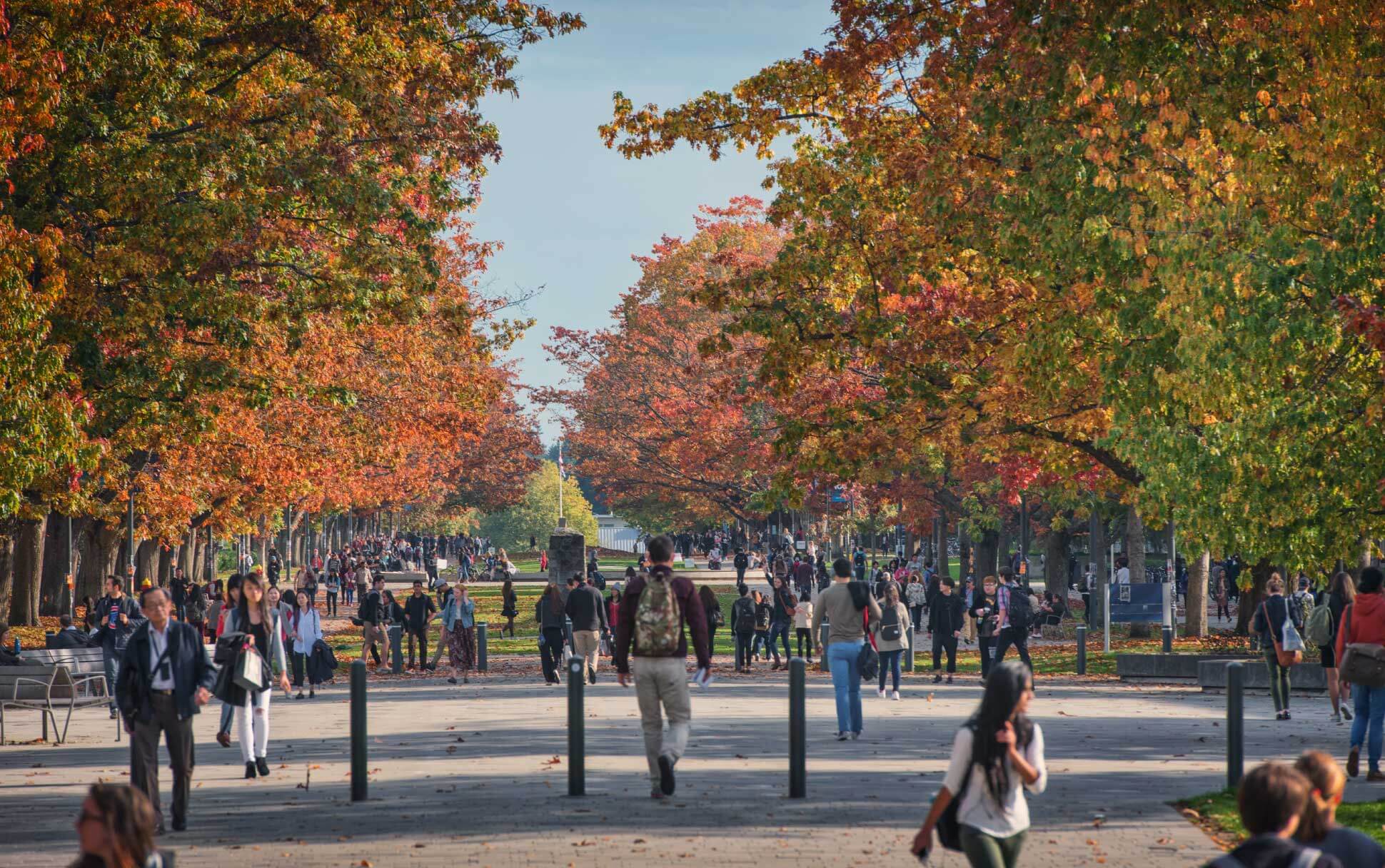 UBC's Main Mall in the fall.