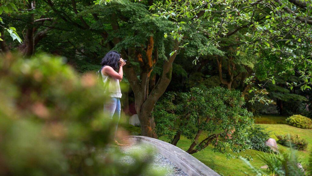 A tourist taking a photo in the Nitobe Memorial Garden.